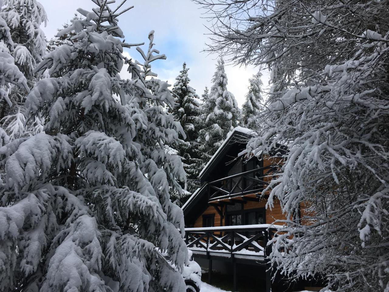 Chalet Rackova Dolina Villa Pribylina Buitenkant foto