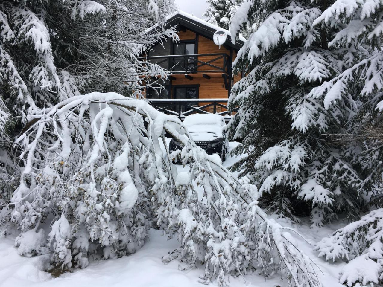 Chalet Rackova Dolina Villa Pribylina Buitenkant foto