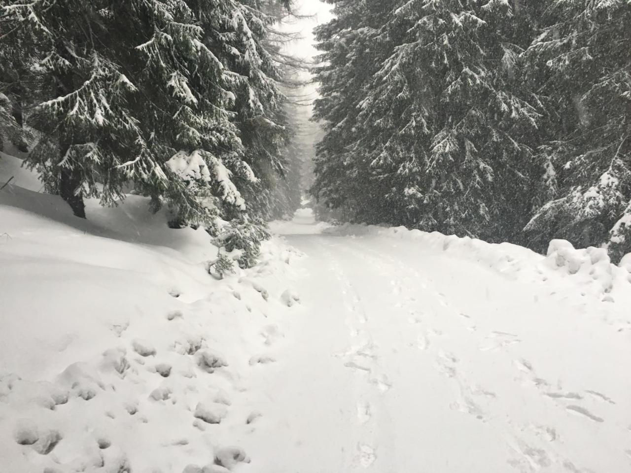 Chalet Rackova Dolina Villa Pribylina Buitenkant foto