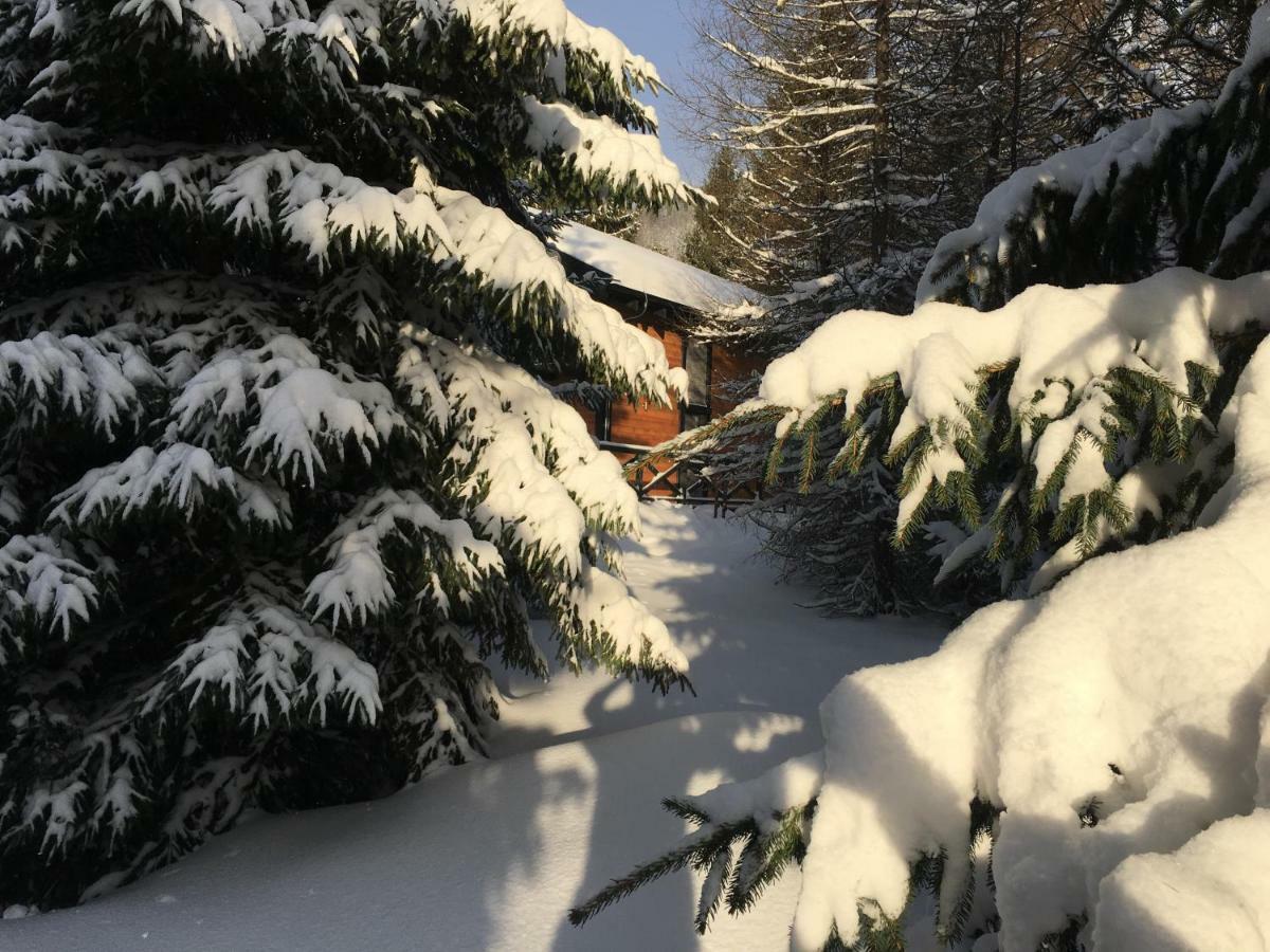 Chalet Rackova Dolina Pribylina Buitenkant foto